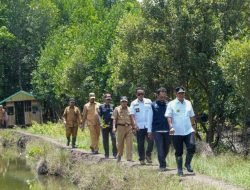 Sambut Hari jadi Sulbar ke-20, Pj Gubernur Ajak Warga Tanam Mangrove