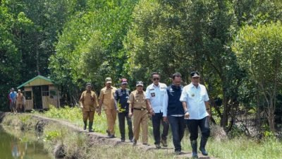 Sambut Hari jadi Sulbar ke-20, Pj Gubernur Ajak Warga Tanam Mangrove