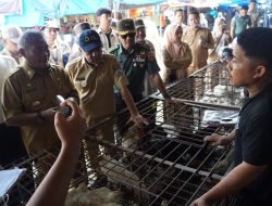 Kolaborasi Kendalikan Inflasi, Pemprov Sulbar Bersama Pemkab Mamuju Pantau Harga Pangan