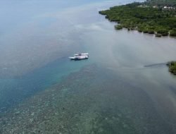 Desa Laliko: Destinasi Wisata Alam dan Budaya yang Memikat