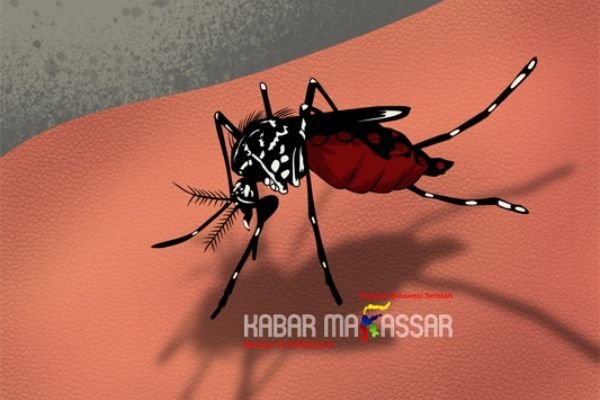 Dinkes Sulbar Perkuat Pencegahan Malaria dan DBD Jelang Puncak Musim Hujan
