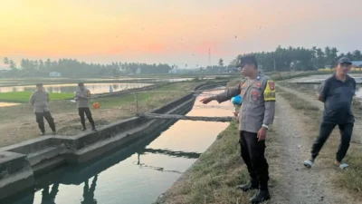 Lansia 87 Tahun Ditemukan Tak Bernyawa di Saluran Irigasi Polma