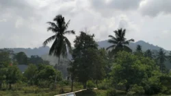 BPBD Sulbar Imbau Warga Waspadai Asap Kiriman Akibat Karhutla