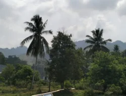 BPBD Sulbar Imbau Warga Waspadai Asap Kiriman Akibat Karhutla