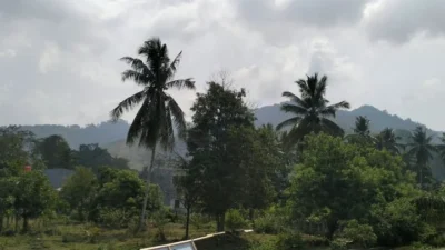 BPBD Sulbar Imbau Warga Waspadai Asap Kiriman Akibat Karhutla