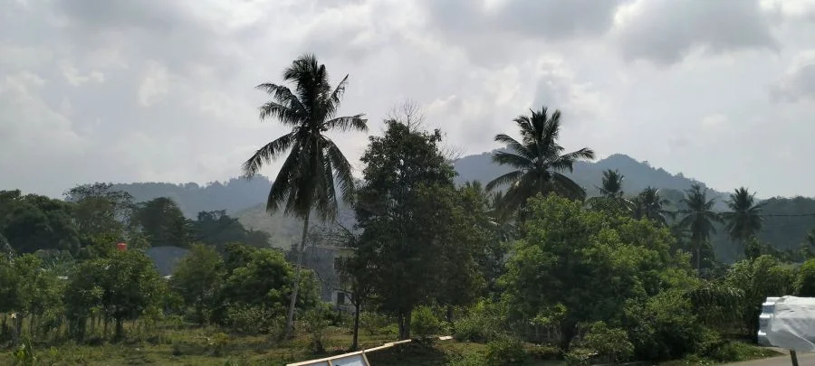 BPBD Sulbar Imbau Warga Waspadai Asap Kiriman Akibat Karhutla
