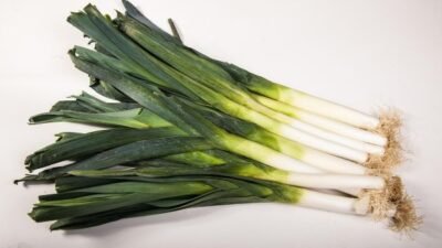 Manfaat Daun Bawang Bagi Kesehatan: Lebih Dari Sekadar Penambah Rasa