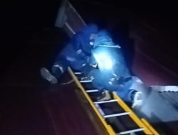 Damkar Mamuju Evakuasi Sarang Tawon Vespa di Atap Rumah Warga