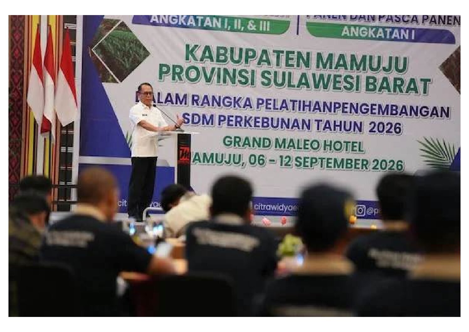 Sawit Jadi Potensi Unggulan Sulbar, Pemprov Perkuat Kapasitas Petani