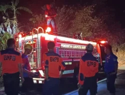 Karhutla Melanda Desa Lebani, BPBD Sulbar dan Damkar Mamuju Turun Tangan
