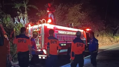 Karhutla Melanda Desa Lebani, BPBD Sulbar dan Damkar Mamuju Turun Tangan