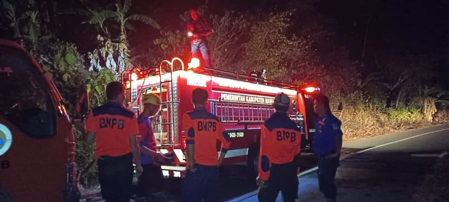 Karhutla Melanda Desa Lebani, BPBD Sulbar dan Damkar Mamuju Turun Tangan